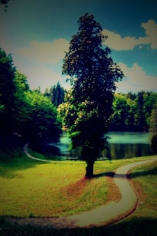 Прекрасная природа обои