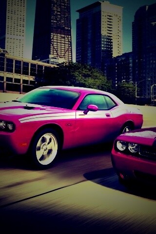 Два розовых мускулкара обои