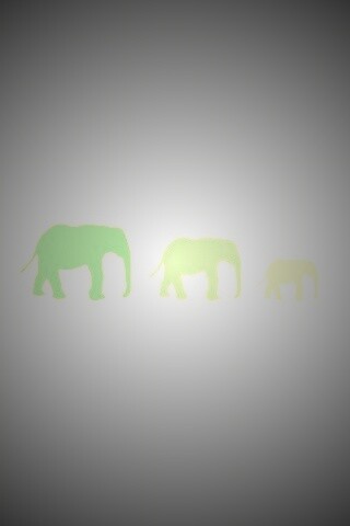 Вереница слонов обои