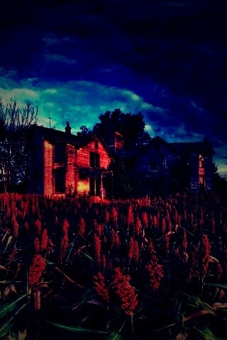 Заброшенный дом  обои