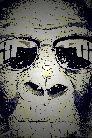 Макака в очках обои