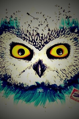 Обои сова для mac book обои