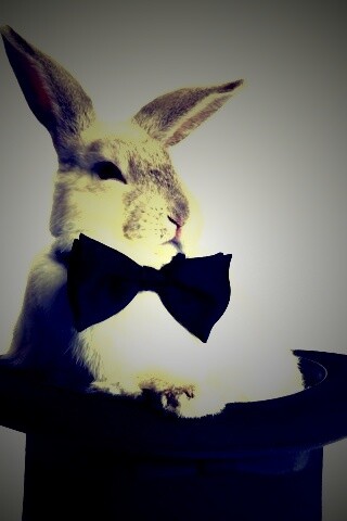 Кролик в цилиндре фокусника обои