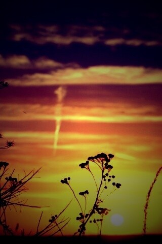 Степной закат обои