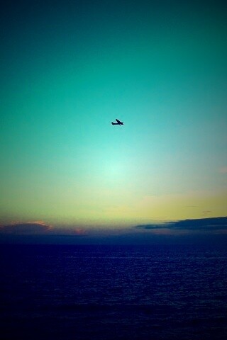 Паращий над морем обои