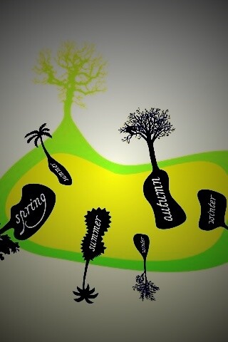 Деревья времен года обои