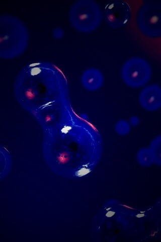 Деление обои