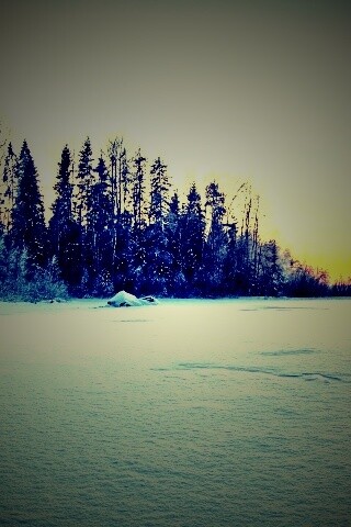 Зимний закат обои