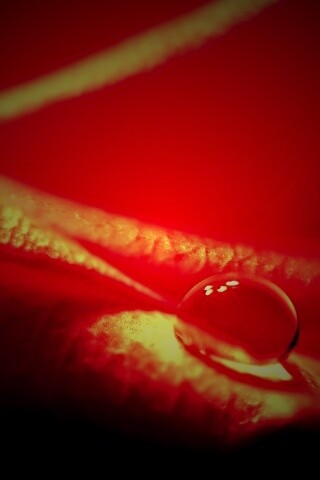 Капелька обои