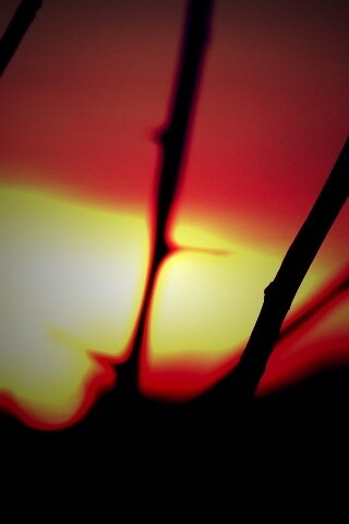 Закат солнца в поле обои