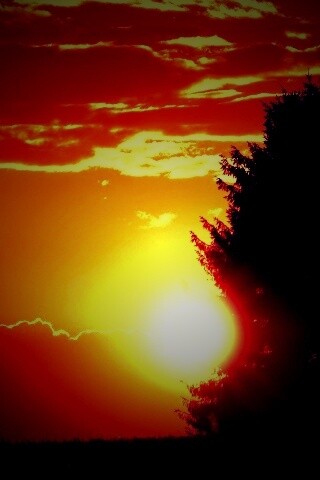 Теплый закат над полем обои