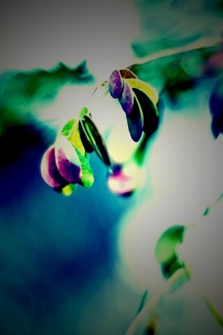 Фиолетовые листья обои