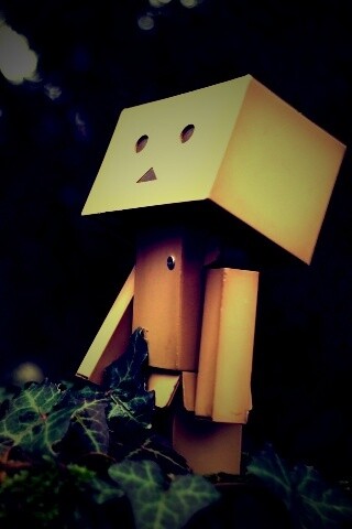 Danbo смотрит вверх обои