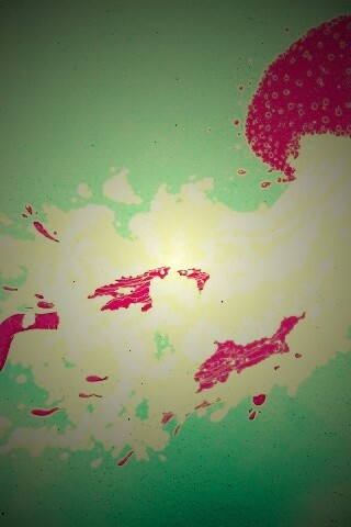 Розовая медуза обои