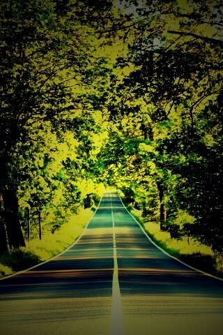 Под горку и в лес обои