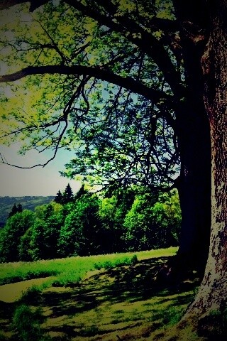 Лето в деревне обои