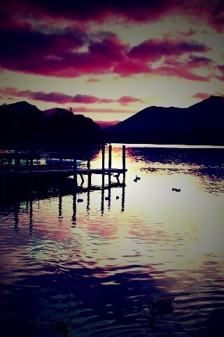 Причал на озере и утки обои