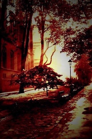 Аллея у здания обои