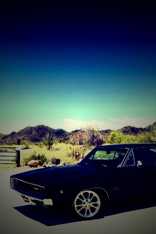 Мускулкар под палящим солнцем обои