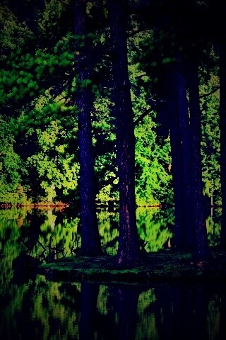 Островок посреди озера обои