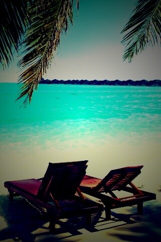 Шезлонги у самой воды обои