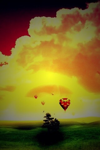 Мечты о полёте обои