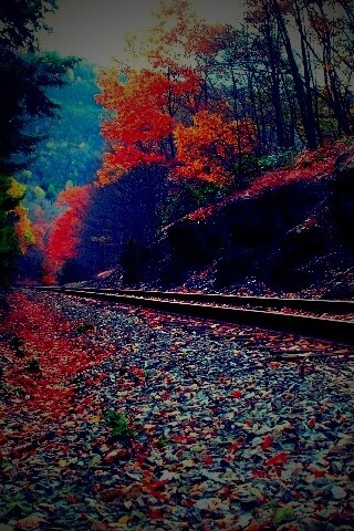Железная дорога в скалистой местности обои