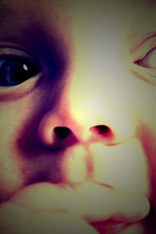 Что-то замышляет... обои