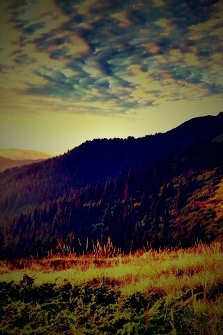 Предгорье обои