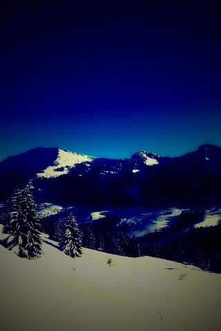 Лес в горах обои