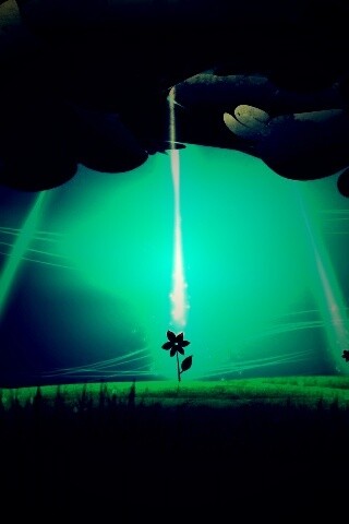 Свет для цветов обои