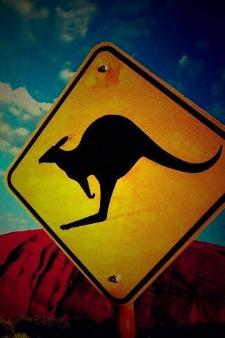 Осторожно, кенгуру! обои