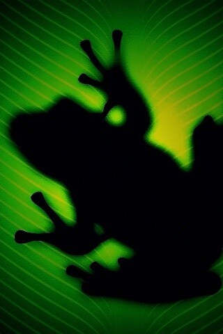 Силуэт лягушки просвечивает сквозь зеленый лист обои