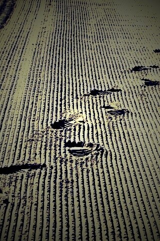 Следы на песке обои