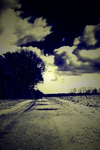 Дорога через поле обои