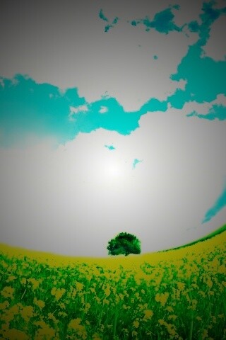 Искаженный мир обои