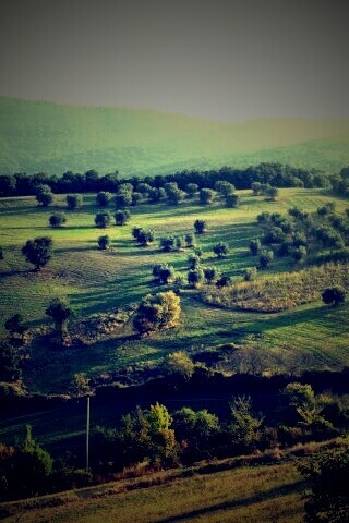 Ферма в долине обои