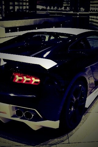 Lamborghini Gallardo обои