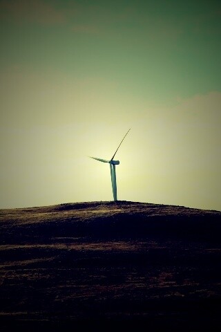 Ветряки в поле обои