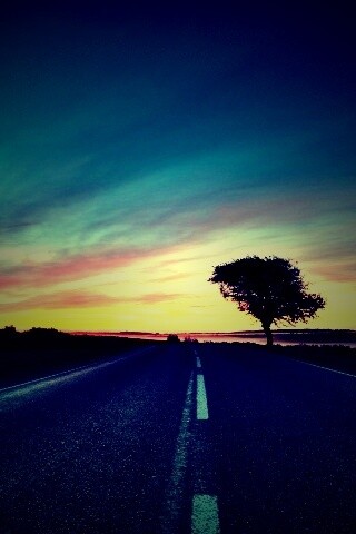 Дорога обои