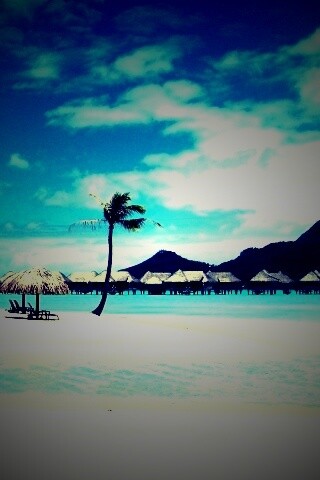 Побережье Бора-бора обои