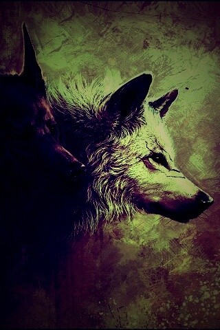 Волки обои