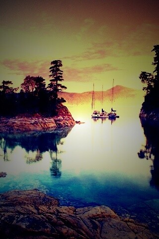 Яхты в заливе обои