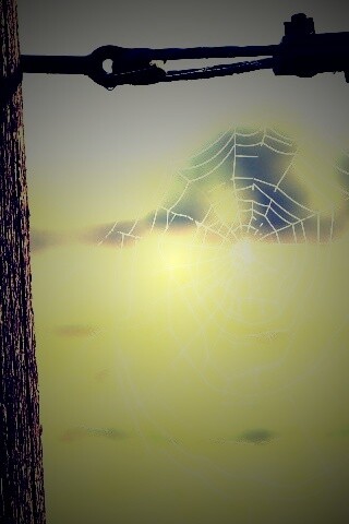 Паутина 51 обои