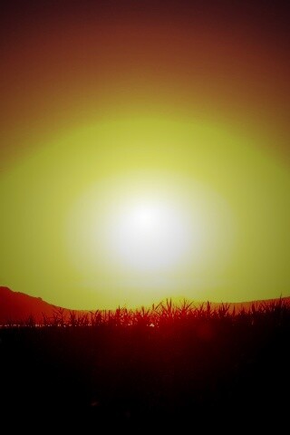 Сельский закат обои