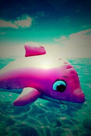 Надувной розовый дельфин обои