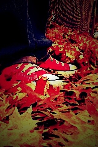 Оранжевые кеды обои