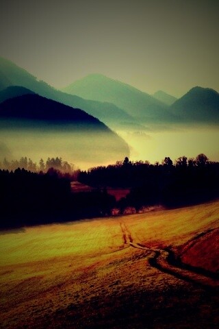 Дорога в туманную долину обои