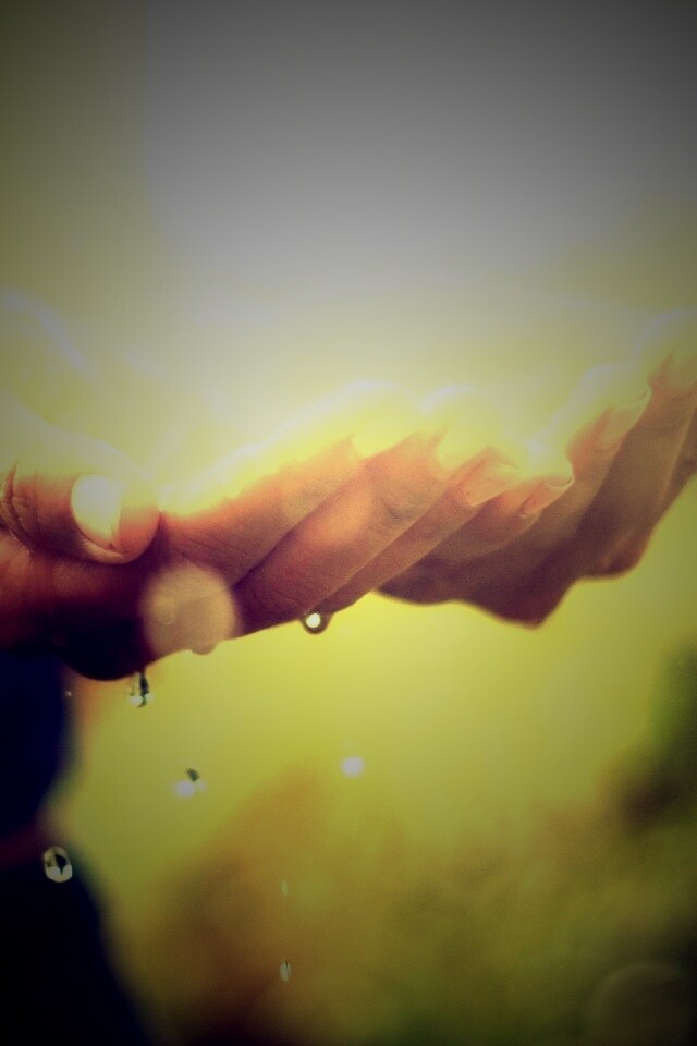Дождь в ладонях обои