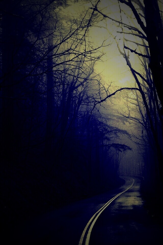 В туман обои